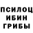 Псилоцибиновые грибы прущие грибы Chris Coburn