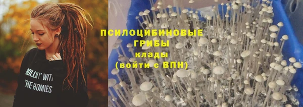 соль курить ск Арсеньев