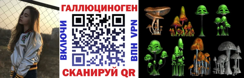 дарнет шоп  Козьмодемьянск  Галлюциногенные грибы GOLDEN TEACHER 